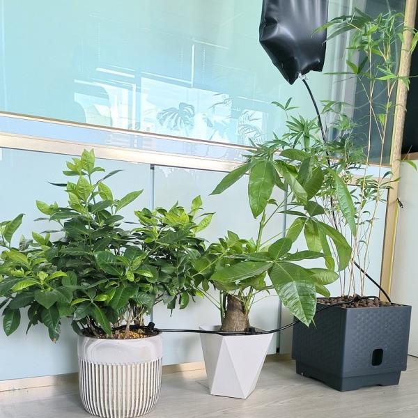 Extra Large 6500ML Drip Irrigation Bag Adjustable Flow, Self Automatic Watering System For Outdoor Gardening Plants And Flowers