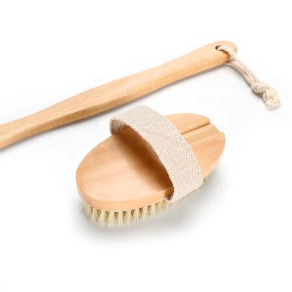 OEM Detachable Long Handle Body Scrub Brush Dry Skin Cellulite Treatment