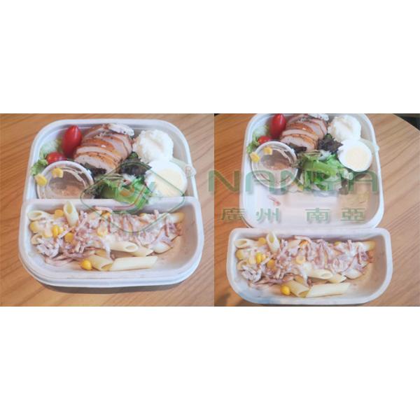 Food Box Container 120kw 1800pcs/H Pulp Molding Machine