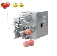 304 acier inoxydable électrique Apple Corer et Peeler 304 acier inoxydable