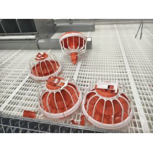 Pre-engineered Broiler Chicken House with Low Maintenance and Customizable Exterior Finishes for Efficient Poultry Farming