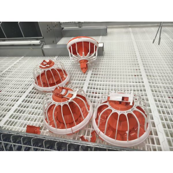 Pre-engineered Broiler Chicken House with Low Maintenance and Customizable Exterior Finishes for Efficient Poultry Farming