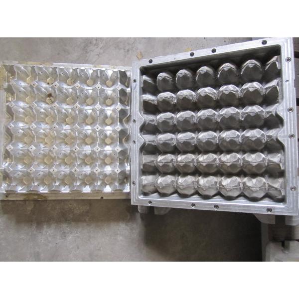 3D Paper Pulp Decorated Egg Tray Mould 30 Holes 5 Years Lifetime