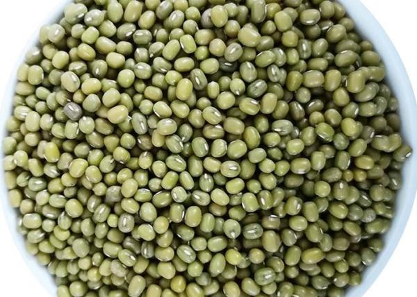 Chinese Dried Green Mung Bean Natural Agricultural Products Ingredients