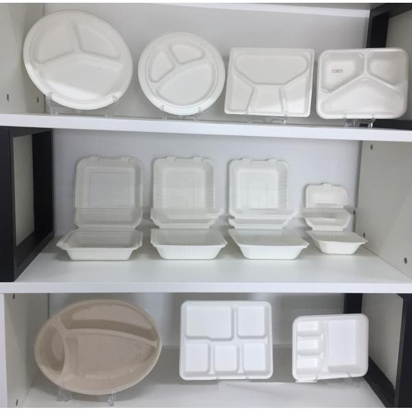 automatic disposable Biodegradable sugarcane paper pulp food box making machine