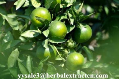 Hesperetin 98%,95% HPLC Light yellow needle crystal pure herbal ingredients