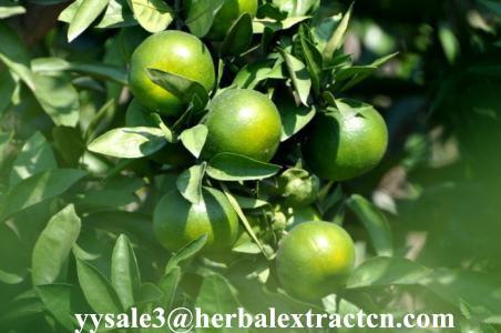 Hesperetin 98%,95% HPLC Light yellow needle crystal pure herbal ingredients