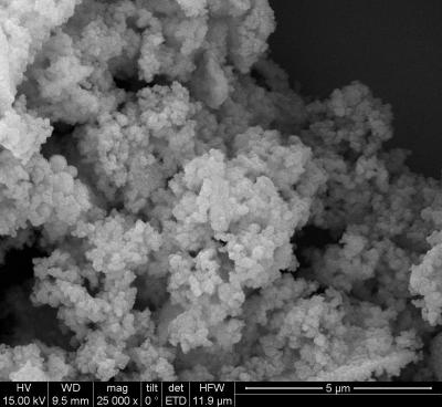 DNA Extraction Magnetic Silica Beads 1μm 50 mg / mL 100 mL