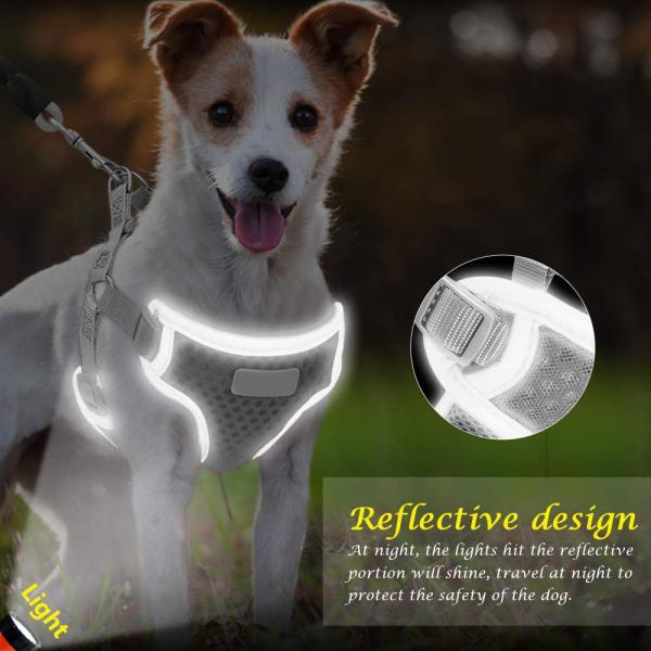 Rustless Sturdy Small Dog Harness And Leash Set Breathable Soft Air Mesh Vest