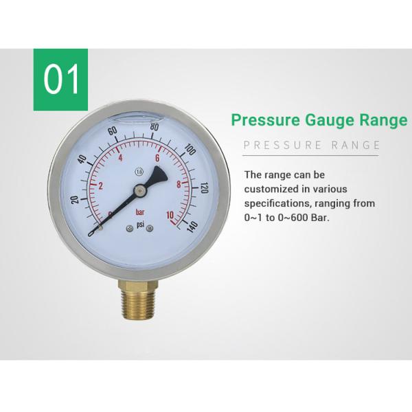 100mm NPT1/2 Brass Connection Pressure Gauge with Stainless Steel Housing OEM Support