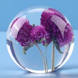 Real dandelion in Clear resin ball flower resin ball ornament