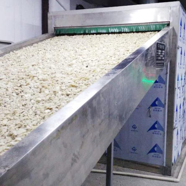 Large Scale Drying Mesh Belt Machine With Intelligent Control System