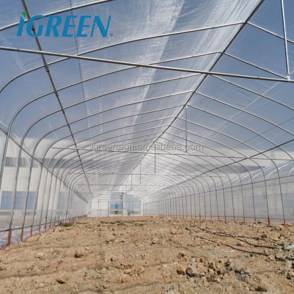 Commercial Plastic Film Greenhouse Hydroponic Hot Dipped Galvanized Steel Structure