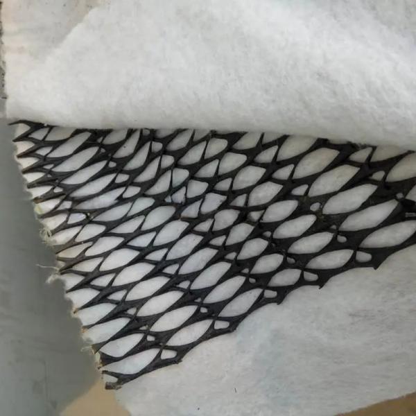 HDPE 3D Salt Barrier Drainage Geonet Geocomposite net for Landfill Road Garden Drainage