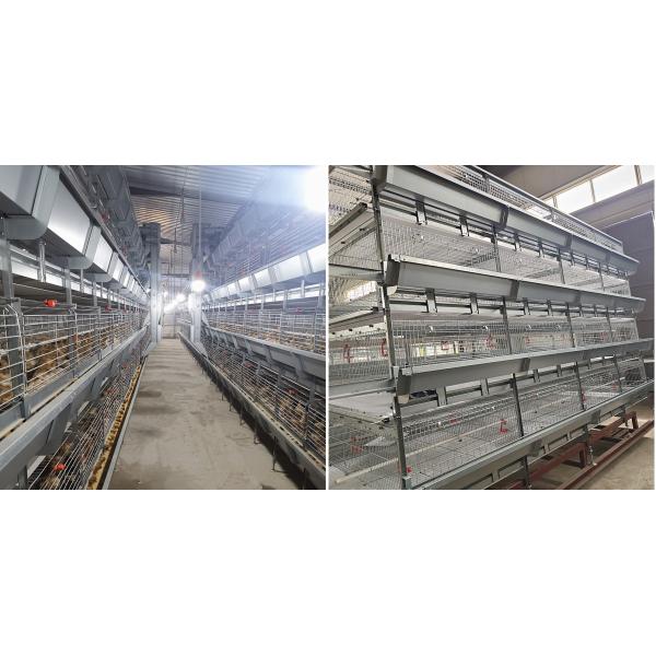 4 tipo equipamento das portas q235 H da grelha da bateria 3 camadas da vertente das aves domésticas