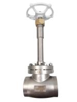 Robinet d'arrêt sphérique cryogénique manuel de soudure de prise de l'opération DN25 DN40