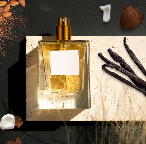 High Concentrated Free Sample  French Cologne Fragrance Oil  For Body Perfume Production