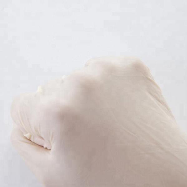 Clear Vinyl Disposable Medical Gloves Powder Free Or Powdered With CE FDA