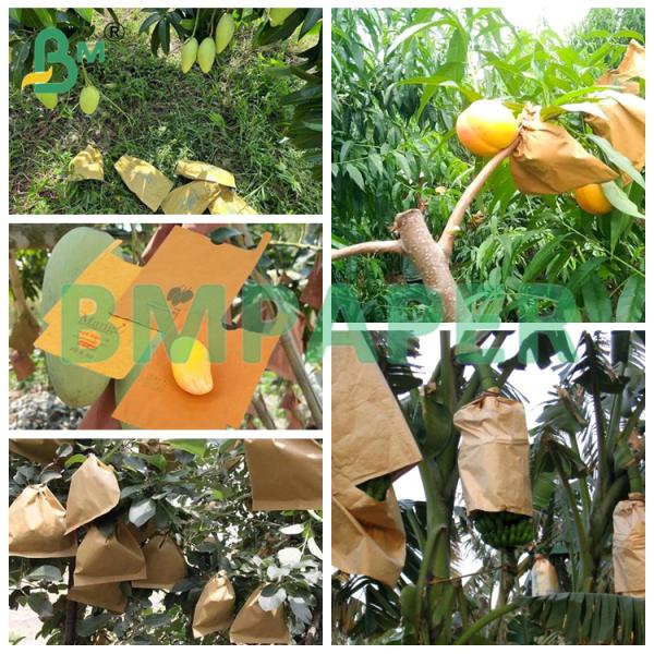 55gsm Fruit Protection Paper Bags Paper Brown Kraft Protection Cover Paper 55gsm Fruit Protection Paper Bags Paper Brown Kraft Protection Cover Paper