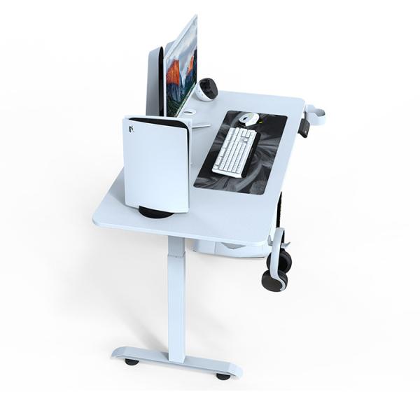 Electric Sit Standing Desk with Double Motors and Custom Mechanical Height Adjustment