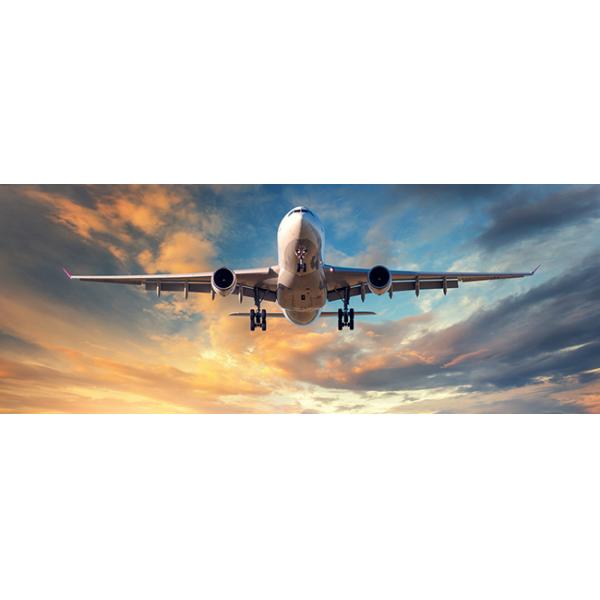 Shenzhen Foresmart International Forwarding Ltd.