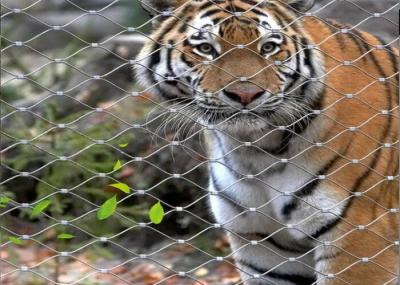 Flexible SS Wire Rope Mesh Customized Lightweight Tiger Fencing