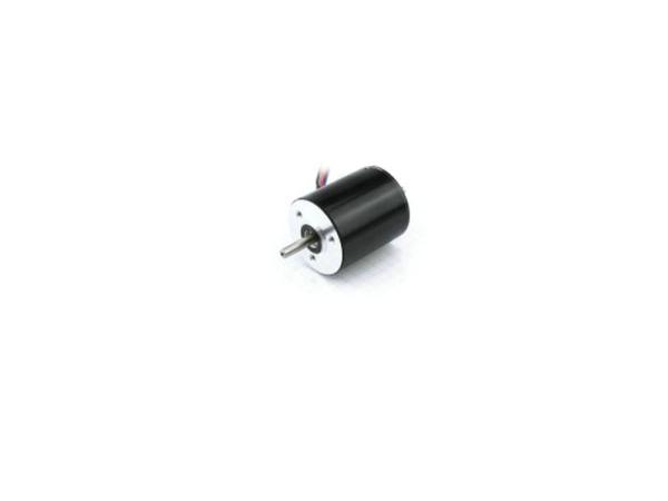 Moteur à courant continu sans balai à grande vitesse 2 phase 4 phase 22 mm