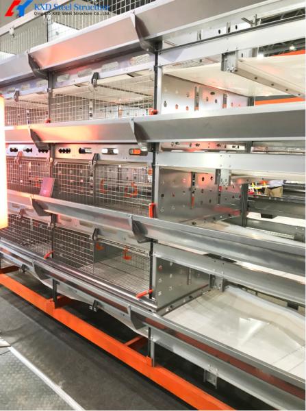 Équipement automatique d'élevage de volailles Fabricant de cage de poulet de poulet