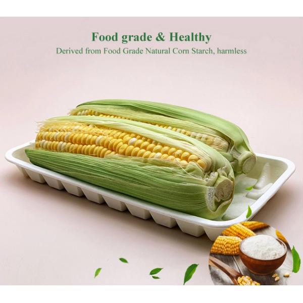 Biodegradable Sushi   231×121mm Cornstarch Trays