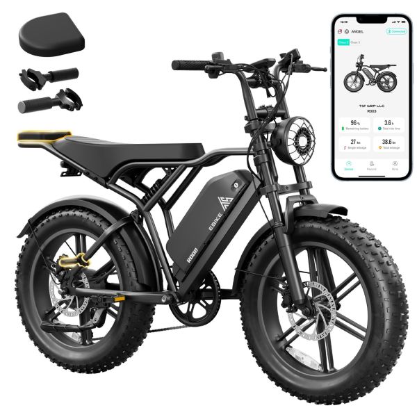 2026 OEM Factory Price R002 20 Fat Tire E Bike 48V 15A Battery Off-Road Bicycle 750W 1200W Motor Power Mountain E Bike