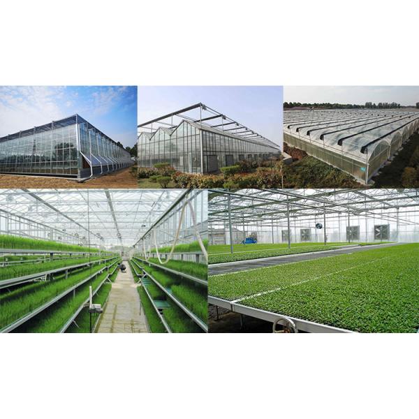 Полуфабрикат светлый парник Q235 ISO9001 овоща стальной структуры аграрный