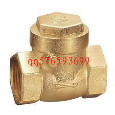 WD-6103  Brass spring check valve