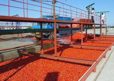 Linha de processamento do tomate da eficiência elevada/linha de produção molho de tomate
