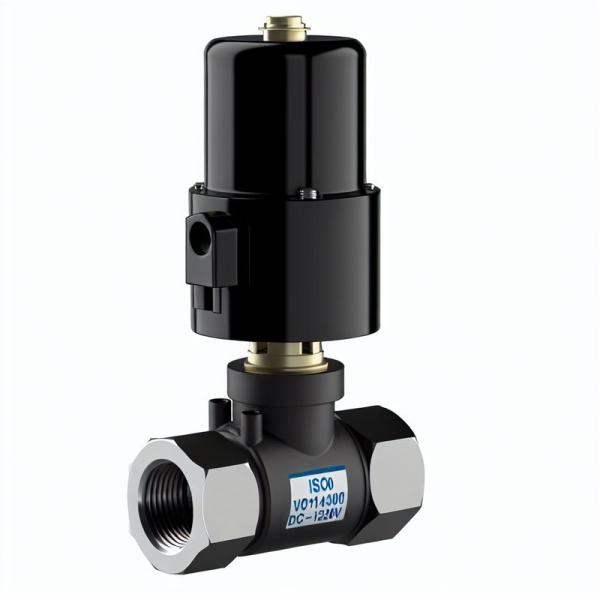 ISO14001 Certified Micro Water Valve with Max Temperature of 100C and Voltage Range of DC108-132V