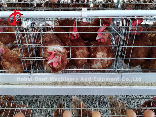 Сохраните систему клетки сельского хозяйства птицы зоны, Ada 3 клеток цыпленка ярусов коммерчески