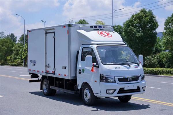 Dongfeng 4x2 diesel Van Cargo Small Refrigerator Trucks 3t With Brand Refrigeration Unit
