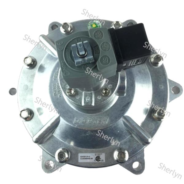 GOYEN CA102MM 4-inch '' Full Immersion Pulse Jet Valve For Bag Filter 24V DC 220V AC