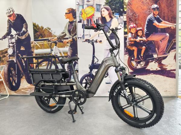 20” Fat Tire Long Tail Cargo E-bike