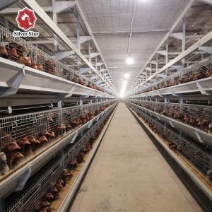 Hot Dip Galvanized Steel H-Type Layer Battery Cage System for Commercial-Scale Poultry Farms with High Capacity 20000+ Birds and Full Automation