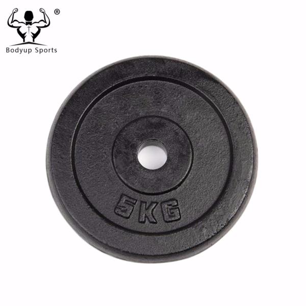 Cast Iron Black Painting Standard Weight Plate / Weight Disc