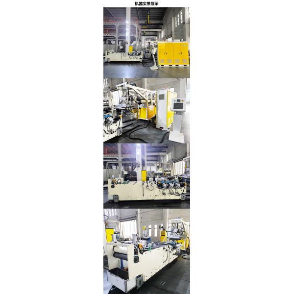 Machine d'extrusion de film de feuille d'acétate de cellulose AF-300mm CA pour le basculement des lacets