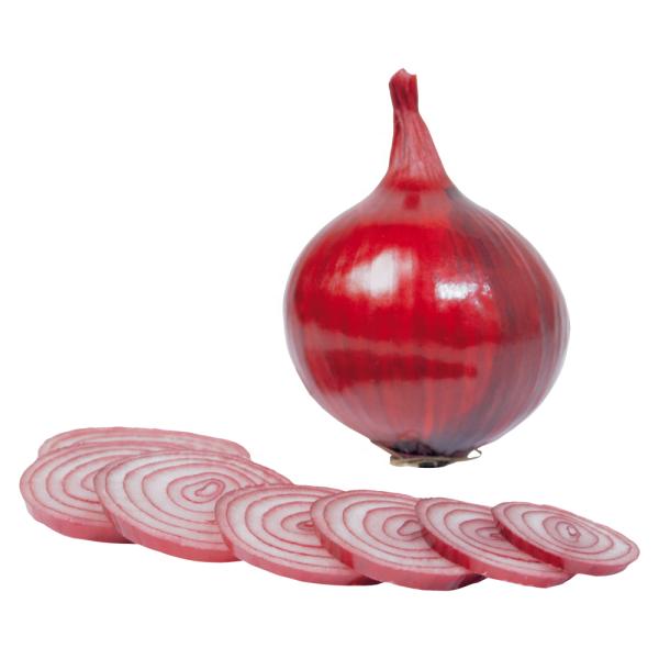 2023 new crop of brand fresh onions red and yellow white onion fresh vegetables in China Chinese onion fresh for sale