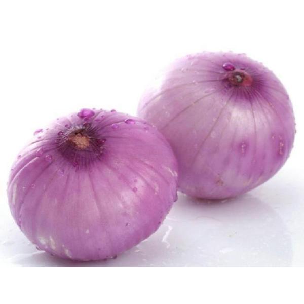 Automatic Vegetable Peeler and Garlic Peeling Equipment for Food Processing 600*600*700MM