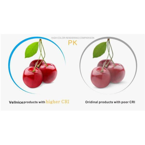 Double Head Square 20 Deg Tilt Aluminum Dim LED Downlights Warm White For Hotel