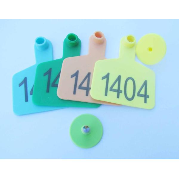 sell animal cattle ear tag,laser ear tag,cow ear tag,material SGS certificate