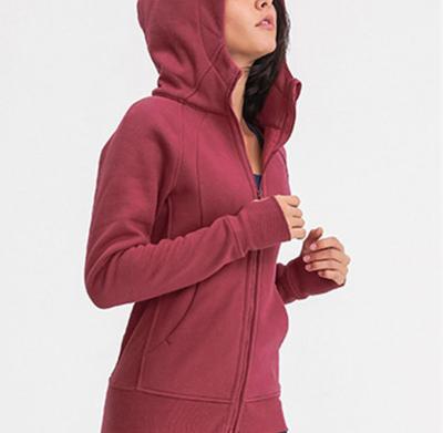 Feche acima esportes do Hoodie 320gsm seguem fato de esporte das mulheres dos revestimentos