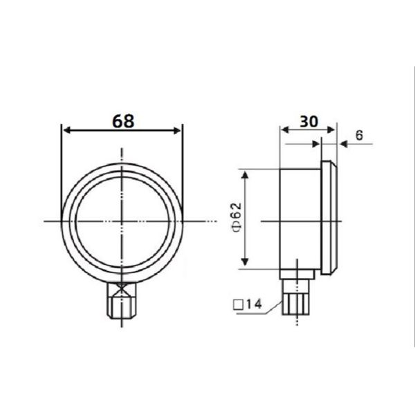 Diaphragm Pressure Gauge with Flange