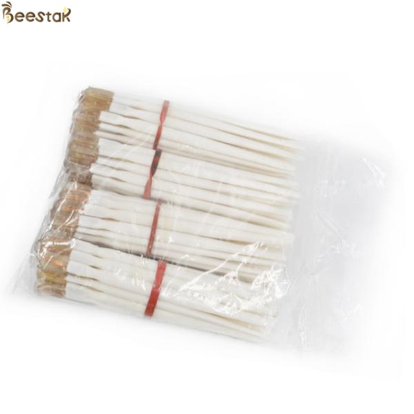 Wholesale Beekeeping Tools Plastic Royal Jelly Pen Apicultural Tools For Beekeeping