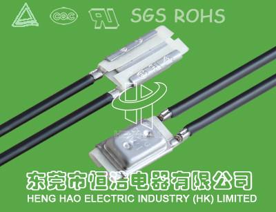 Rechargeable Battery 17AM Thermal Protector Custom Service Acceptable