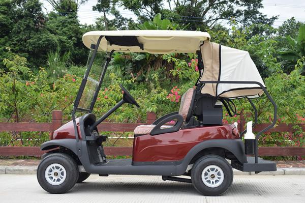 Innovative 2 Seaters Electric Golf Cart with Lithium Battery